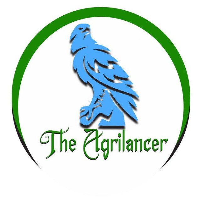 Agrilancer Logo